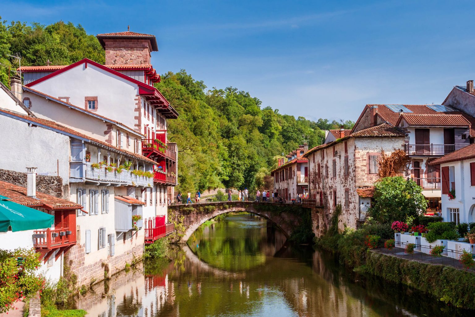Scribbles Roots Why I Chose Basque Families to Build the Magical Roots of Oria - Mad ...